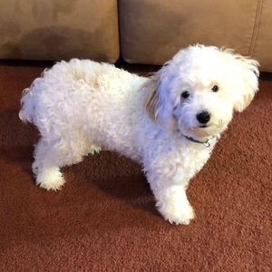 Meet your Posher, Sharon